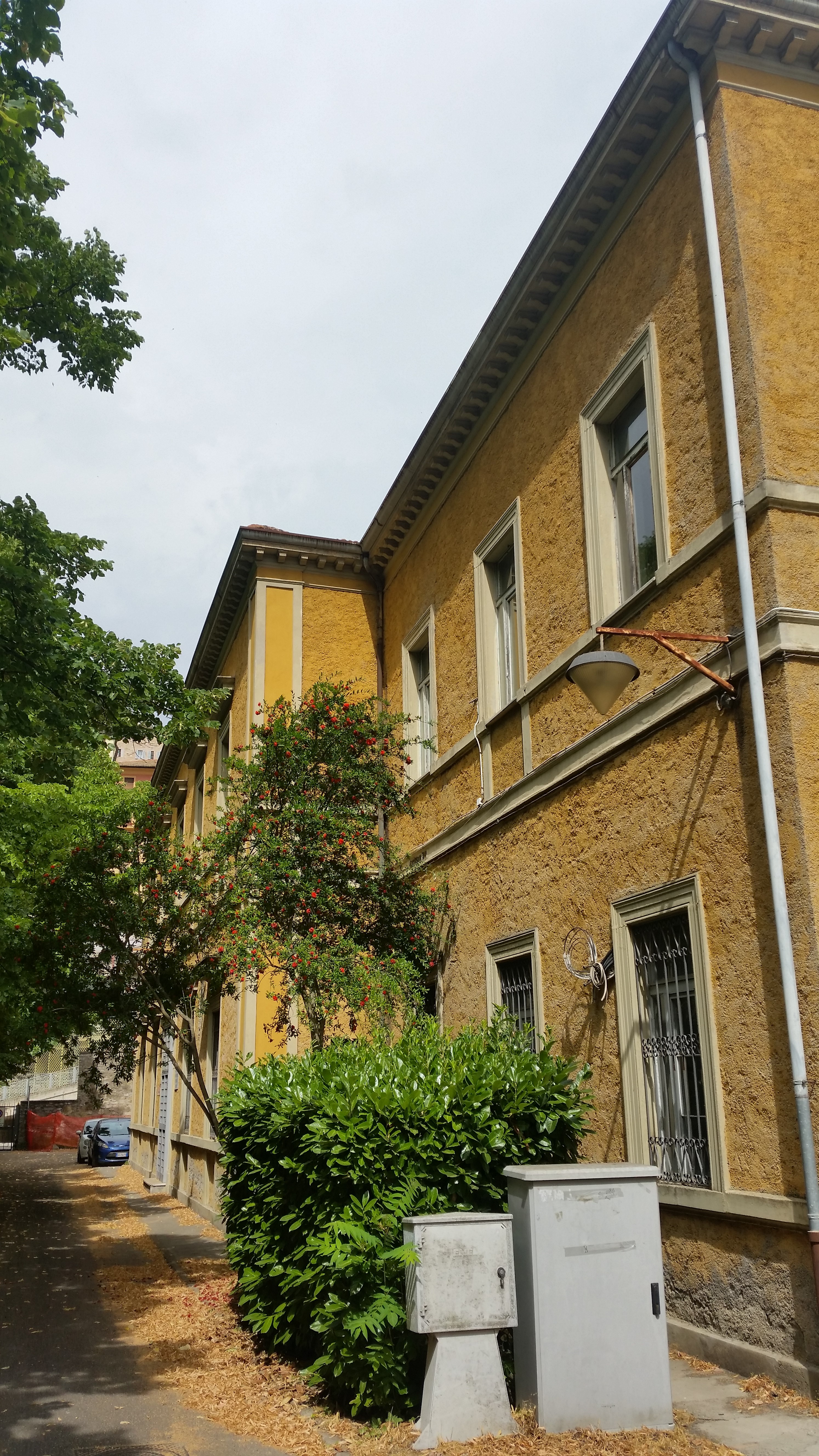 la palazzina Monia Andreani