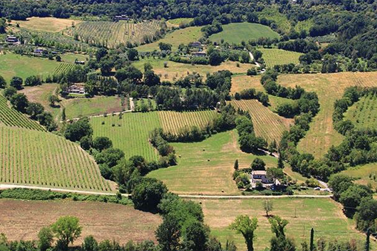 parete tappezzata di libri