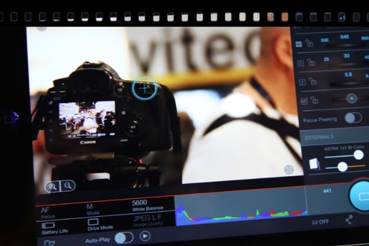 Dettaglio della locandina Dettaglio della locandina