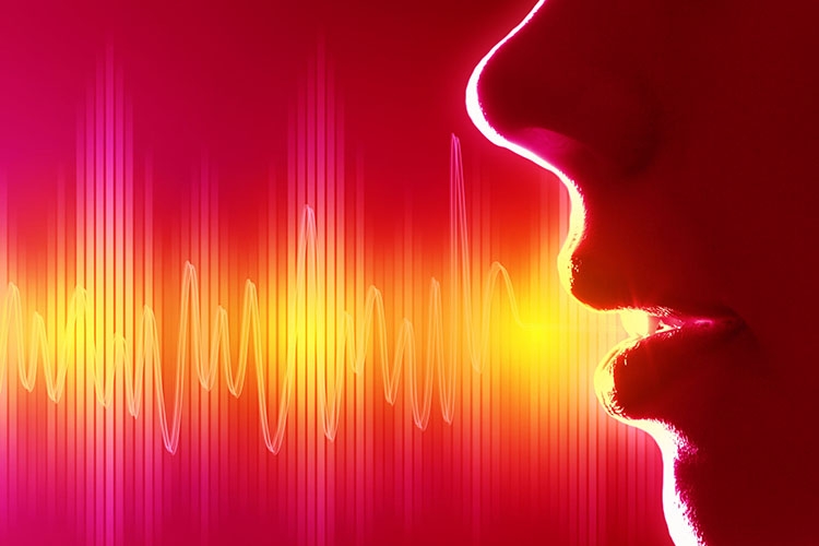 Dettaglio della locandina