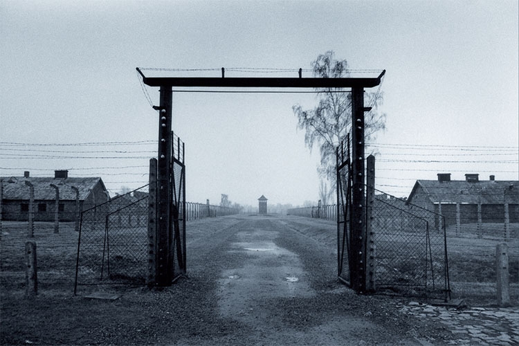 Dettaglio della locandina Dettaglio della locandina