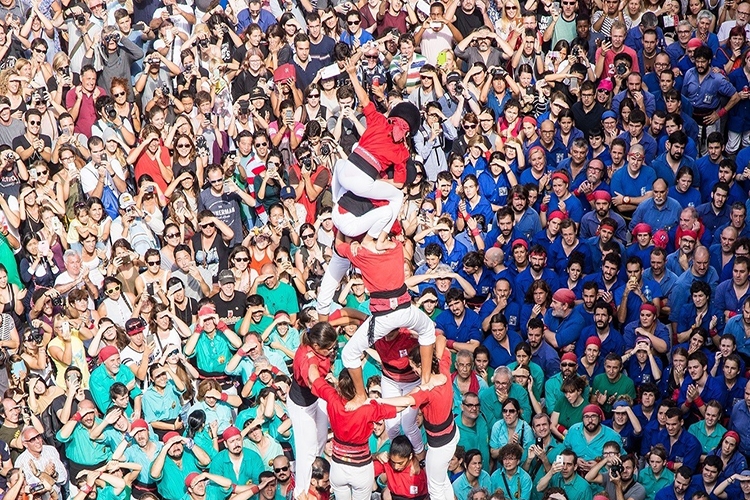 Dettaglio della locandina