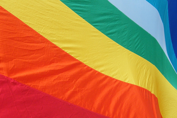 Dettaglio della locandina: bandiera della pace