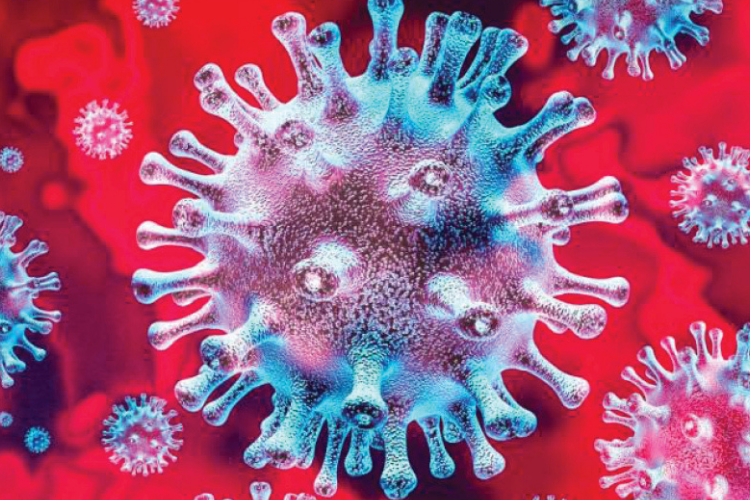 coronavirus