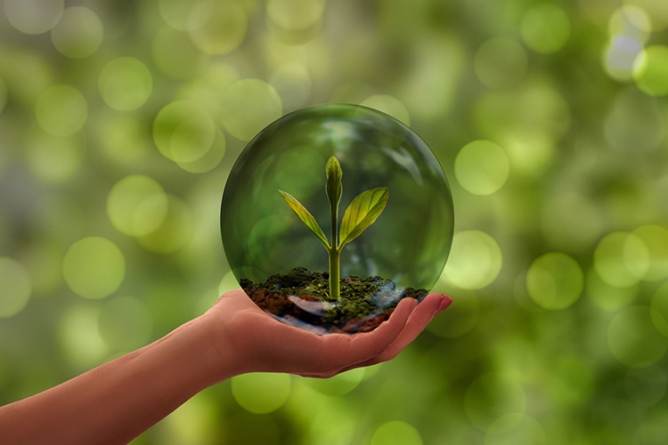 manco che regge una sfera con una piantina all'interno
