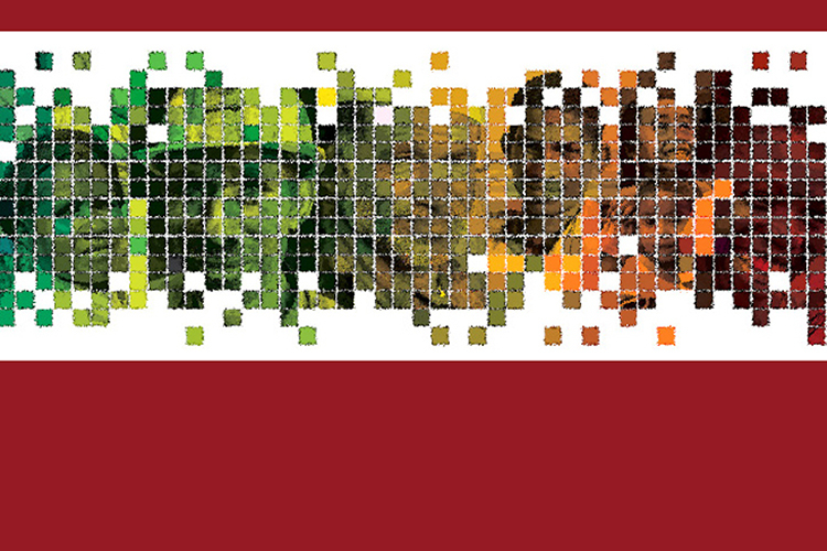 collage di volti di diverse etnie