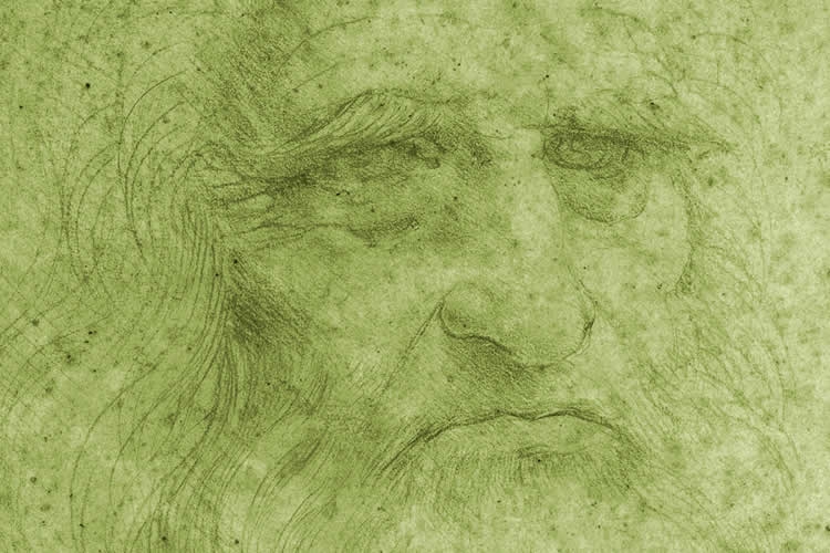 particolare di autoritratto di Leonardo