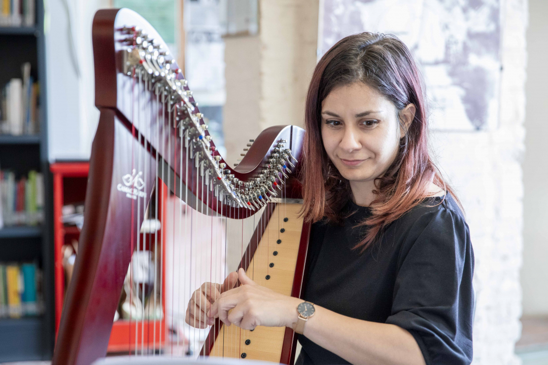 arpista che suona l'arpa