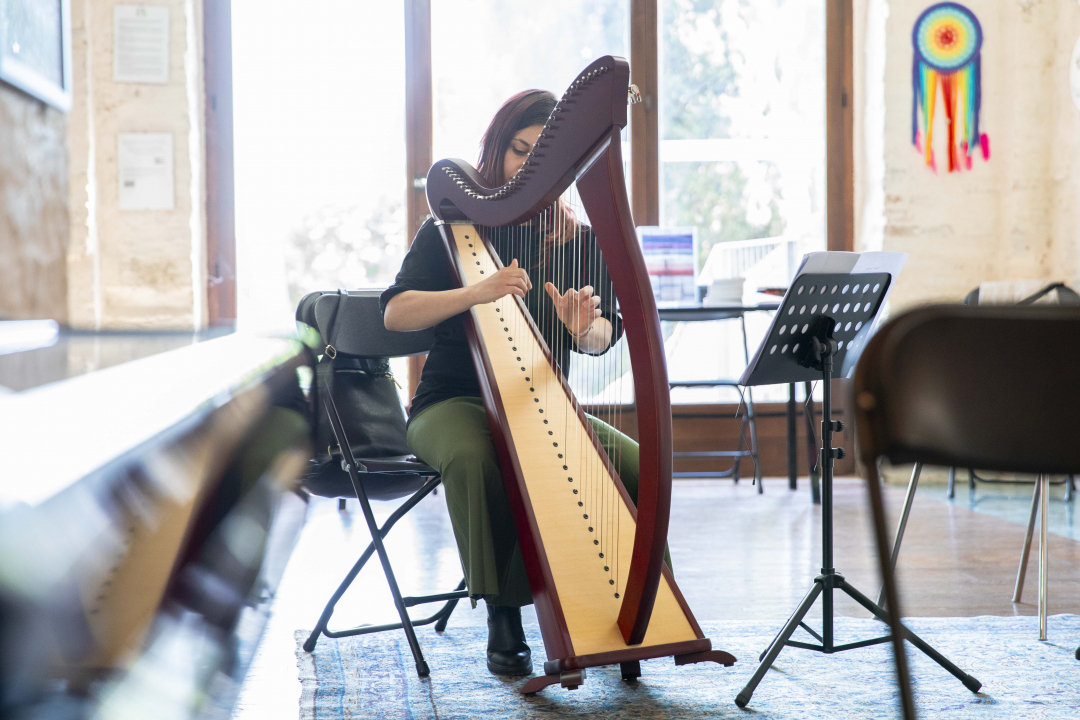 arpista che suona l'arpa