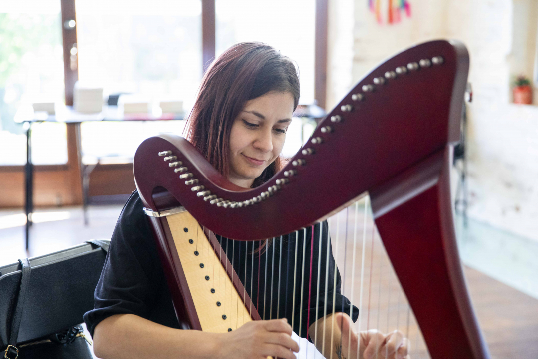 arpista che suona l'arpa
