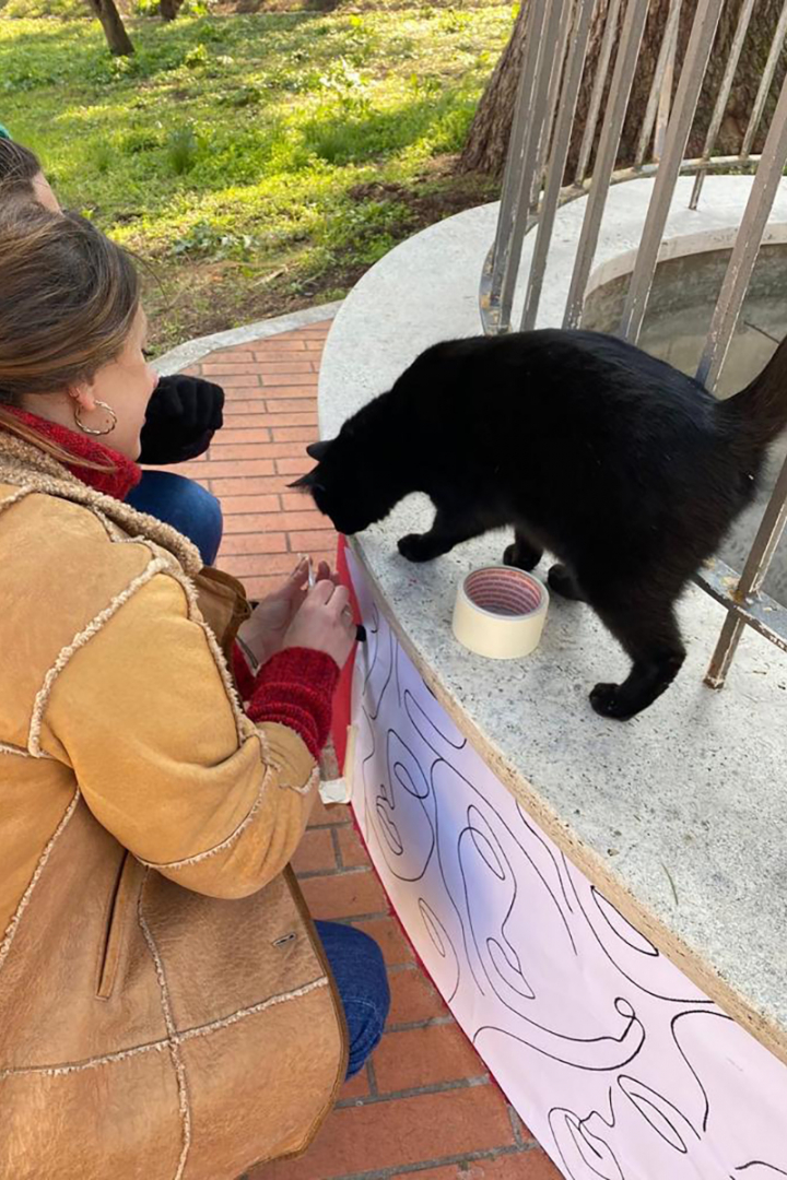 studenti durante la realizzazione delle decorazioni sulle fontane